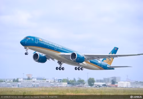 Vietnam Airlines triển khai dịch vụ cho hành khách khuyết tật ảnh 1
