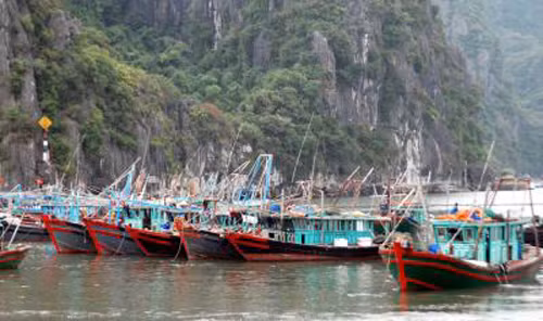 Miền Trung ứng phó bão số 7 và khắc phục hậu quả mưa lũ ảnh 1