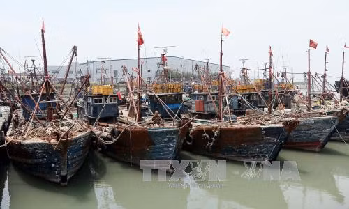 Trung Quốc kêu gọi Hàn Quốc bình tĩnh sau vụ đâm chìm tàu ảnh 1