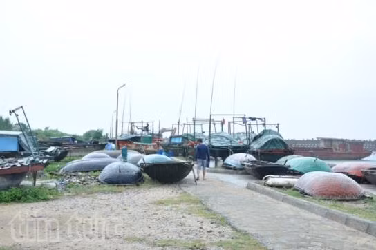 Huyện đảo Bạch Long Vĩ đã có mưa, gió giật cấp 8 ảnh 2