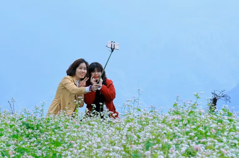 Mê đắm mùa hoa tam giác mạch Tây Bắc ảnh 5