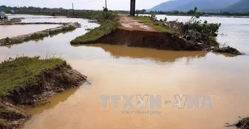Vỡ đê ngăn mặn ở Quảng Bình do mưa lũ ảnh 2