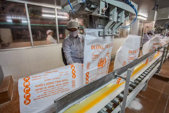 Cơ hội làm giàu từ cây mía ở miền núi Phú Yên ảnh 1