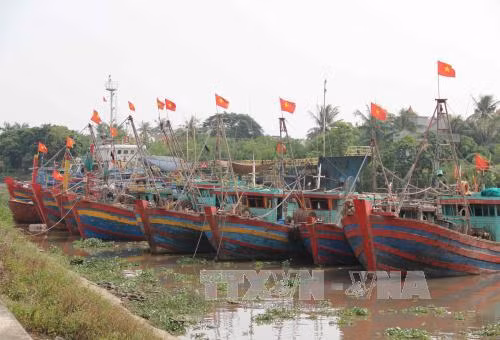 Thái Bình di dân vào trong đê chính, đến nơi trú bão an toàn ảnh 1