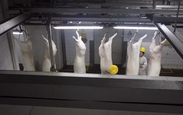 “Đột nhập” các xưởng chế biến đồ ăn của Trung Quốc ảnh 8