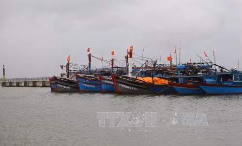 Đêm nay, áp thấp nhiệt đới vào bờ biển các Trung Trung Bộ ảnh 1