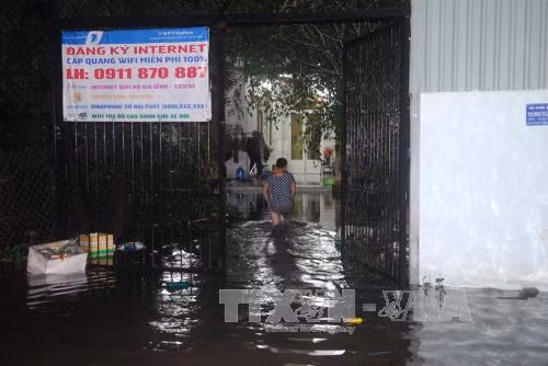 Vỡ bờ bao, hàng chục hộ dân TP Hồ Chí Minh phải sơ tán ảnh 1