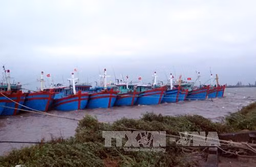 Tin cuối cùng về cơn bão số 7 ảnh 1
