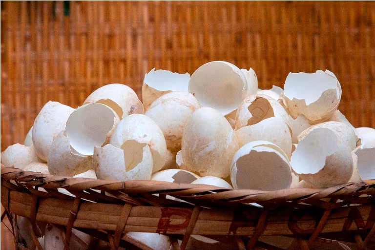 Sơn mài Việt sánh vai biểu tượng văn hóa Ý ảnh 1