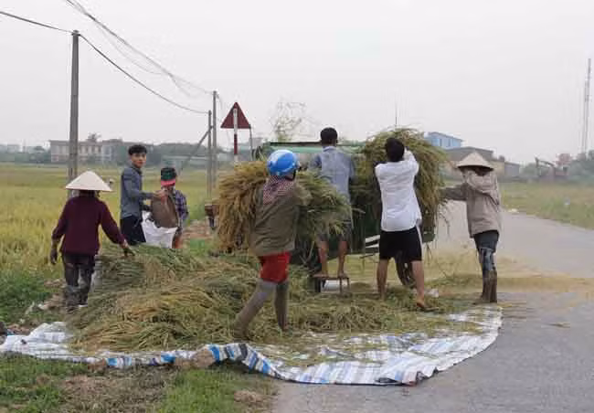 Người dân ven biển Đông Bắc Bộ hối hả chống bão số 7 ảnh 3