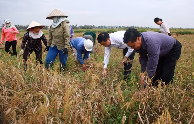 Người dân ven biển Đông Bắc Bộ hối hả chống bão số 7 ảnh 5