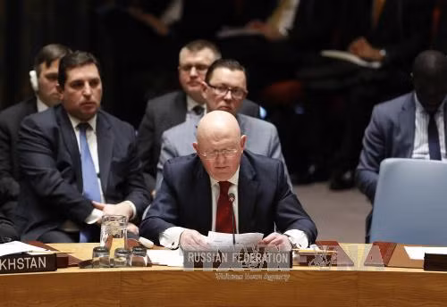 Nga khẳng định nỗ lực hiện thực hóa lệnh ngừng bắn tại Syria ảnh 1