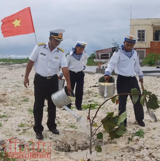 Bộ đội Trường Sa ra quân trồng cây đầu xuân ảnh 8