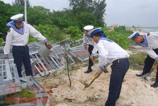 Bộ đội Trường Sa ra quân trồng cây đầu xuân ảnh 3