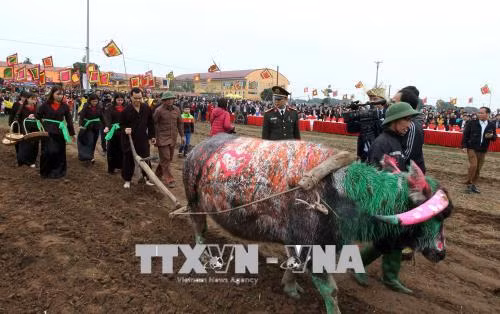 Khai hội Tịch điền Đọi Sơn năm 2018 ảnh 2
