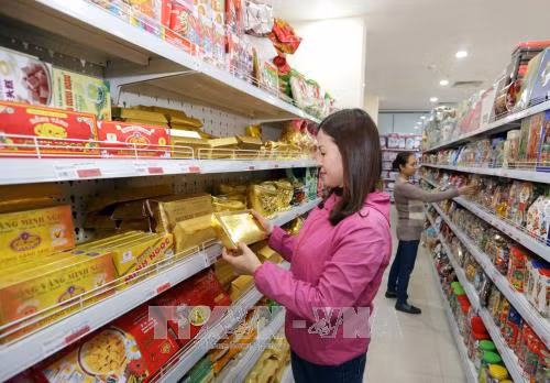 Hà Nội mang sức Xuân vào lao động, sản xuất ảnh 2
