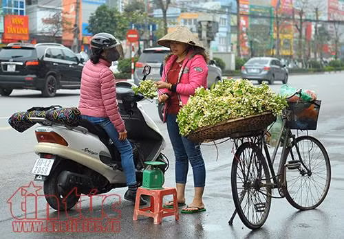 Hương hoa bưởi nồng nàn khắp đường phố Hà Nội ảnh 6