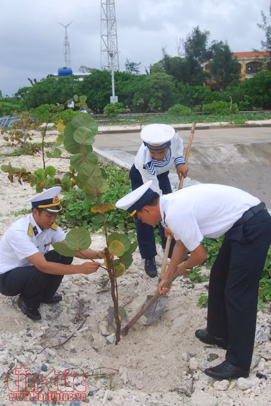 Bộ đội Trường Sa ra quân trồng cây đầu xuân ảnh 12