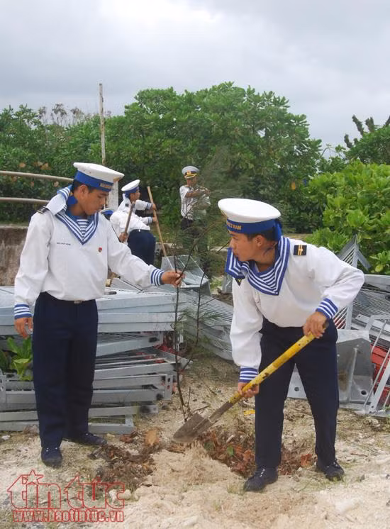 Bộ đội Trường Sa ra quân trồng cây đầu xuân ảnh 5