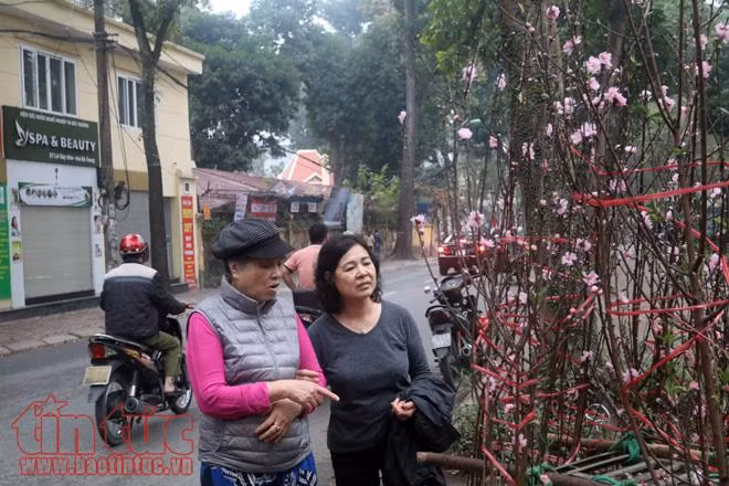 Thú chơi hoa đào sau Tết của người Hà Nội ảnh 5