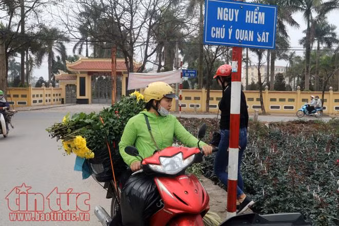 Hoa Tây Tựu rực rỡ, sẵn sàng cho ngày Quốc tế phụ nữ 8/3 ảnh 5