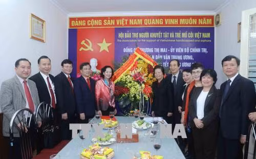 Đổi mới, sáng tạo các hoạt động hỗ trợ người tàn tật và trẻ mồ côi ảnh 1