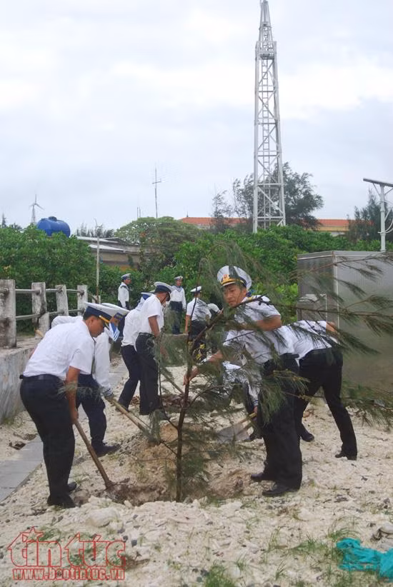 Bộ đội Trường Sa ra quân trồng cây đầu xuân ảnh 6