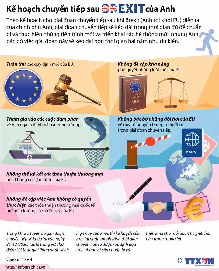 Kế hoạch chuyển tiếp sau Brexit của Anh ảnh 1
