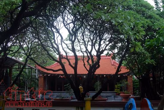Bộ đội Trường Sa ra quân trồng cây đầu xuân ảnh 14