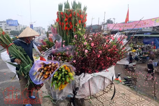 Thú chơi hoa đào sau Tết của người Hà Nội ảnh 7