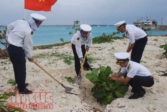 Bộ đội Trường Sa ra quân trồng cây đầu xuân ảnh 7