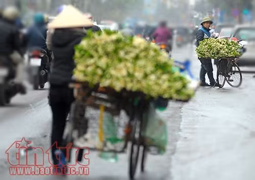 Hương hoa bưởi nồng nàn khắp đường phố Hà Nội ảnh 2