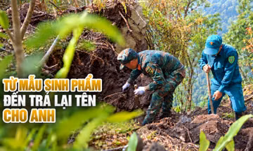 Tin tức TV: Từ mẫu sinh phẩm đến trả lại tên cho anh