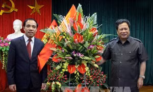 Tuyên Quang