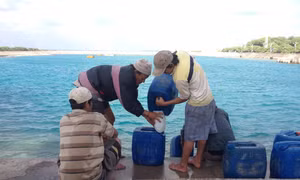 Trà Vinh