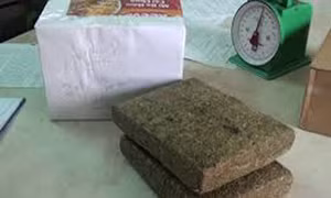 Một người nước ngoài chuyển 2,3 kg cần sa qua biên giới