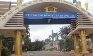 Xử lý sai phạm xảy ra tại Trường Cao đẳng Sư phạm Đắk Lắk