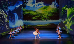 Nhà hát ballet Nga biểu diễn “Hồ Thiên nga” tại Hà Nội