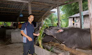 Người thanh niên dân tộc Nùng dám nghĩ, dám làm