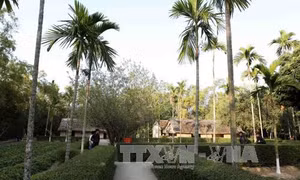 Nghệ An