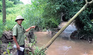 Bà Rịa - Vũng Tàu