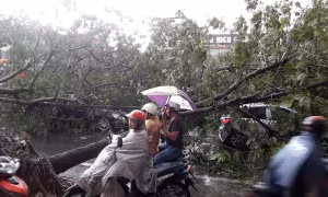 Hà Nội hỗn loạn sau dông lốc, 1 người chết, 3 bị thương