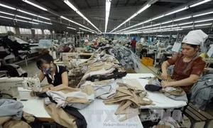 Nhiều mặt hàng được xóa thuế nhập khẩu khi TPP có hiệu lực 