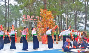Sơn La