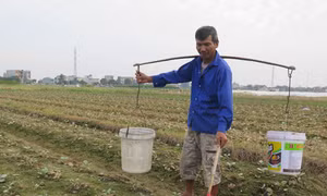 Nông dân hoa mắt vì ma trận phân bón - Bài 1