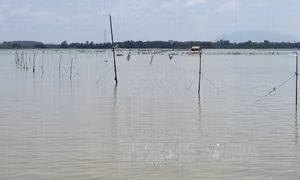 Khởi tố đối tượng đánh cán bộ kiểm lâm trên hồ Trị An