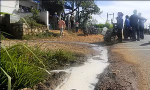 Nông dân lao đao vì sữa ế - Bài 1