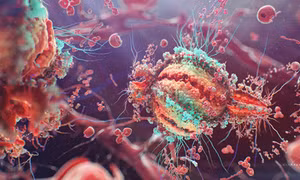 Tìm ra cách ức chế khả năng tái sinh của virus HIV 