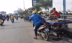 TP Hồ Chí Minh