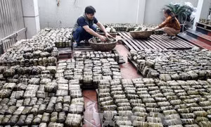 Đồng Nai
